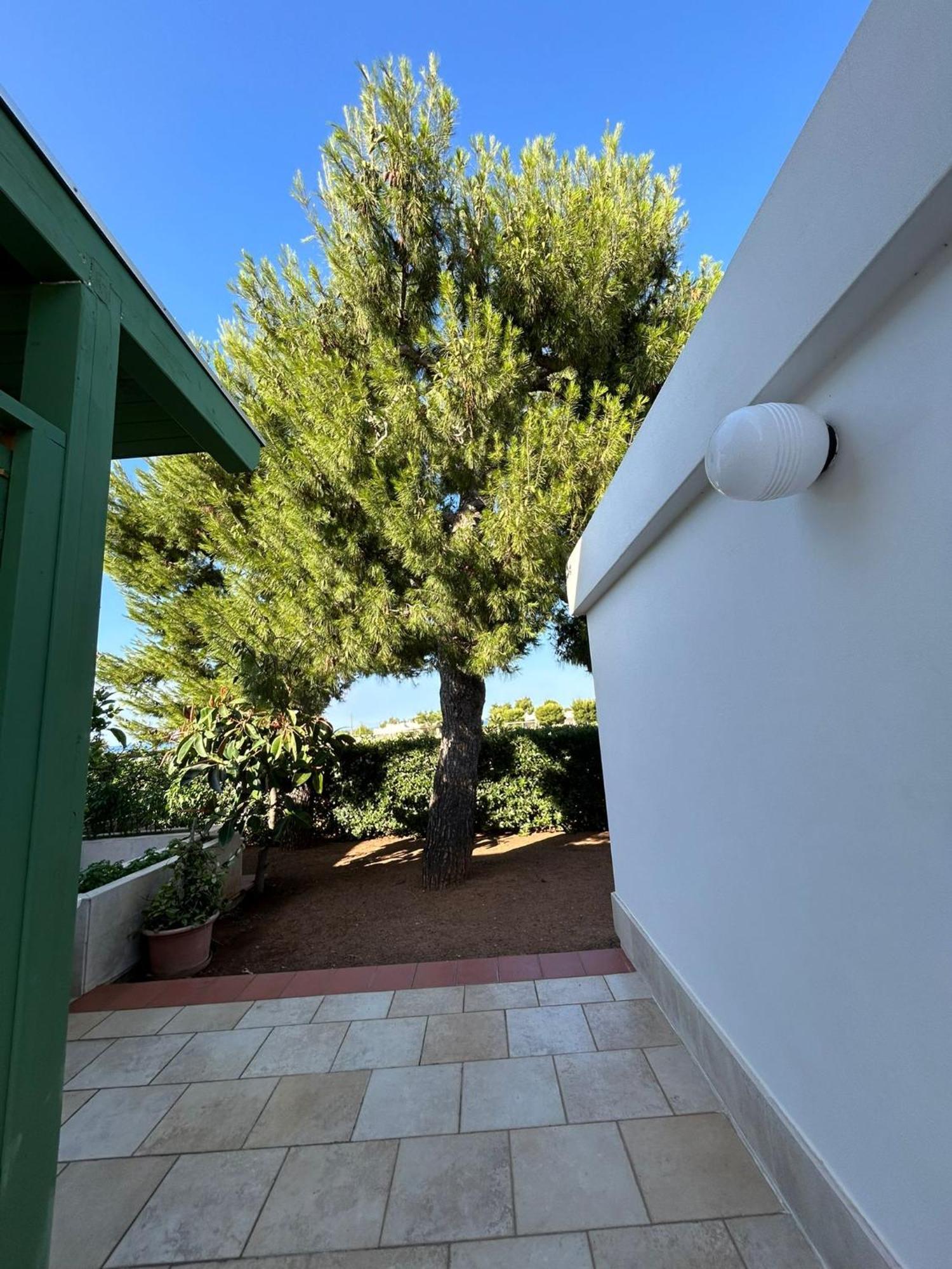 مونوبولي Villa Lamandia المظهر الخارجي الصورة
